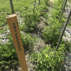 Sanctuaire de semences et centre d’apprentissage de Kenhtè:ke